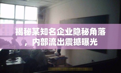 揭秘某知名企業(yè)隱秘角落，內(nèi)部流出震撼曝光