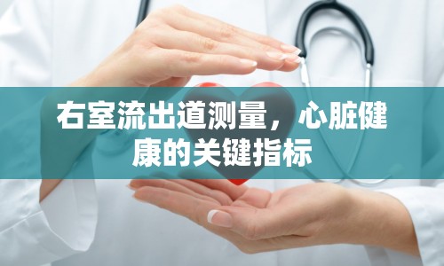 右室流出道測量，心臟健康的關(guān)鍵指標(biāo)