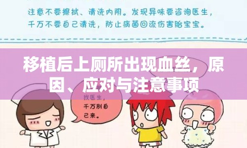 移植后上廁所出現(xiàn)血絲，原因、應(yīng)對與注意事項