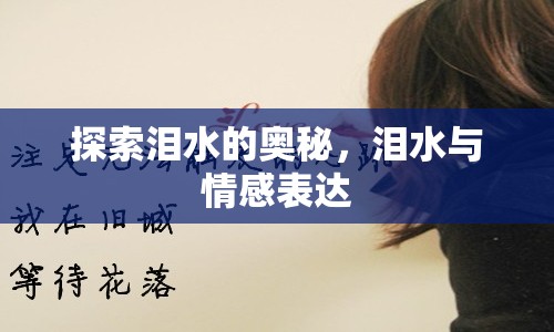 探索淚水的奧秘，淚水與情感表達
