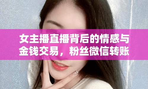 女主播直播背后的情感與金錢交易，粉絲微信轉(zhuǎn)賬引熱議