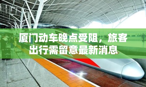 廈門動(dòng)車晚點(diǎn)受阻，旅客出行需留意最新消息