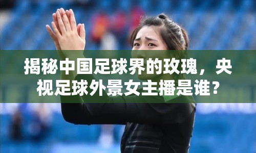 揭秘中國足球界的玫瑰，央視足球外景女主播是誰？