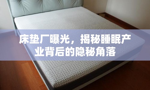 床墊廠曝光，揭秘睡眠產(chǎn)業(yè)背后的隱秘角落