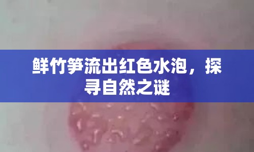 鮮竹筍流出紅色水泡，探尋自然之謎
