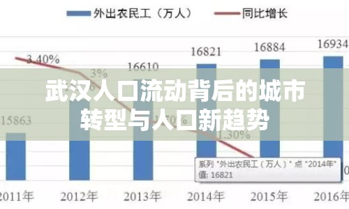 武漢人口流動背后的城市轉型與人口新趨勢