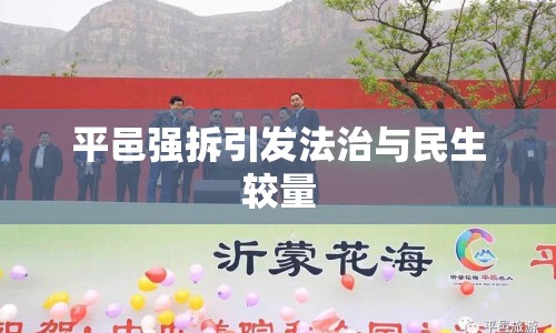 平邑強(qiáng)拆引發(fā)法治與民生較量