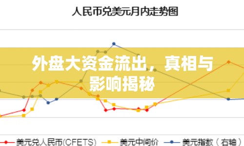 外盤大資金流出，真相與影響揭秘