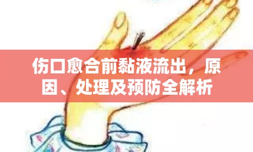 傷口愈合前黏液流出，原因、處理及預(yù)防全解析