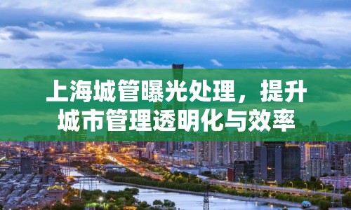 上海城管曝光處理，提升城市管理透明化與效率