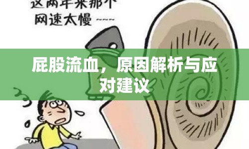 屁股流血，原因解析與應(yīng)對建議