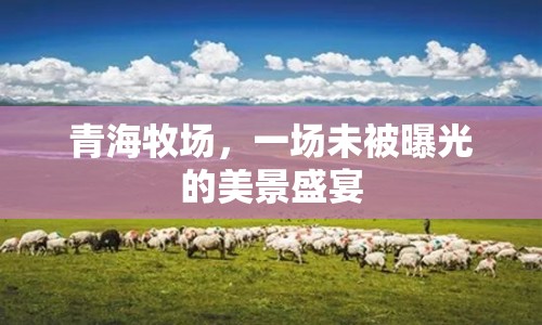 青海牧場，一場未被曝光的美景盛宴