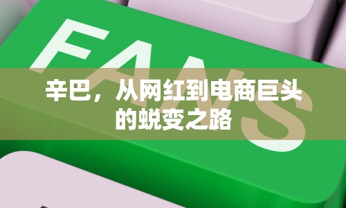 辛巴，從網(wǎng)紅到電商巨頭的蛻變之路