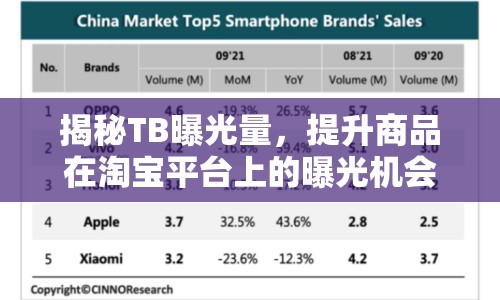揭秘TB曝光量，提升商品在淘寶平臺上的曝光機會