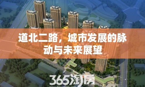 道北二路，城市發(fā)展的脈動與未來展望