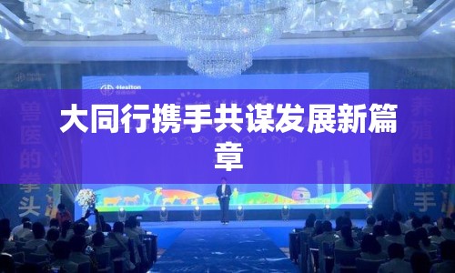 大同行攜手共謀發(fā)展新篇章