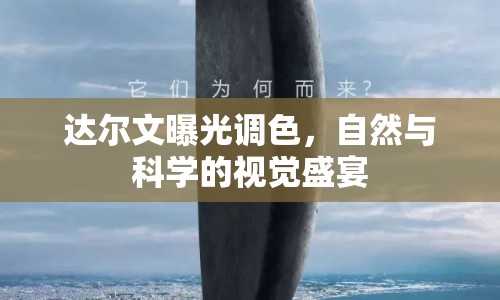 達爾文曝光調色，自然與科學的視覺盛宴