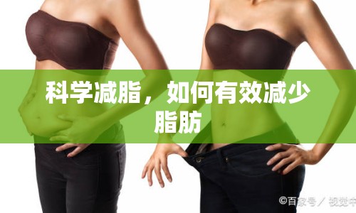 科學(xué)減脂，如何有效減少脂肪