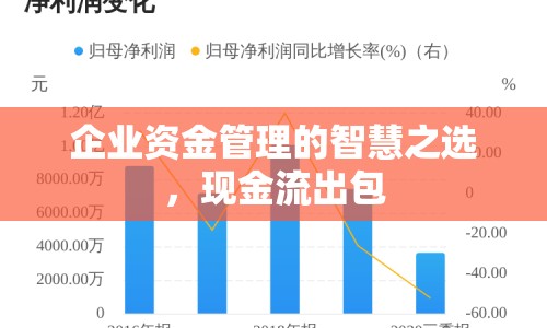 企業(yè)資金管理的智慧之選，現(xiàn)金流出包