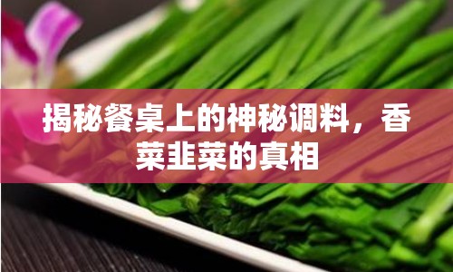 揭秘餐桌上的神秘調(diào)料，香菜韭菜的真相