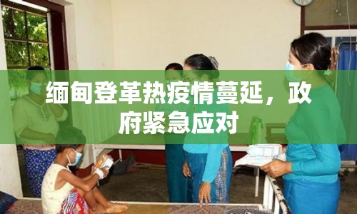 緬甸登革熱疫情蔓延，政府緊急應(yīng)對