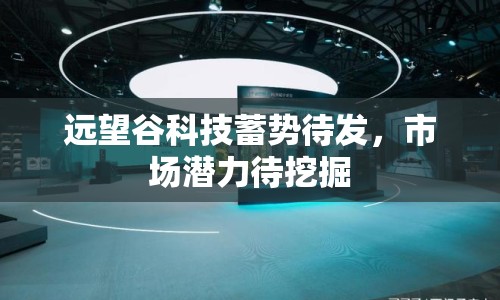 遠(yuǎn)望谷科技蓄勢待發(fā)，市場潛力待挖掘