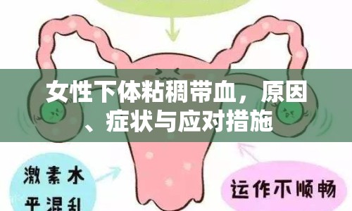 女性下體粘稠帶血，原因、癥狀與應對措施