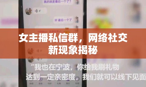 女主播私信群，網(wǎng)絡(luò)社交新現(xiàn)象揭秘