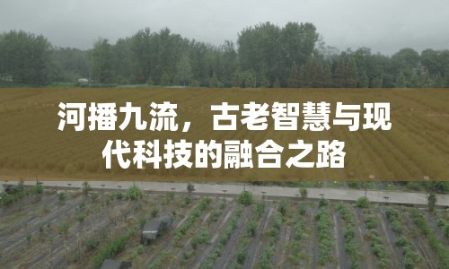 河播九流，古老智慧與現(xiàn)代科技的融合之路