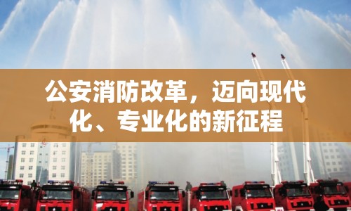公安消防改革，邁向現(xiàn)代化、專業(yè)化的新征程
