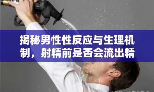 揭秘男性性反應與生理機制，射精前是否會流出精子？