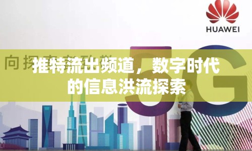 推特流出頻道，數(shù)字時代的信息洪流探索