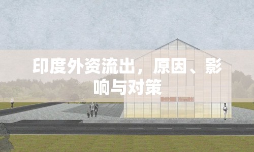 印度外資流出，原因、影響與對(duì)策