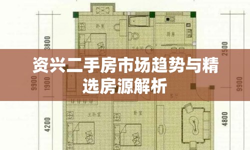 資興二手房市場趨勢與精選房源解析
