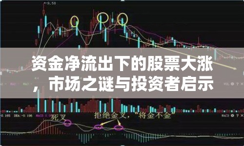 資金凈流出下的股票大漲，市場之謎與投資者啟示