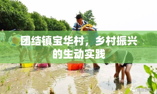 團結(jié)鎮(zhèn)寶華村，鄉(xiāng)村振興的生動實踐