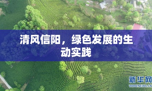 清風(fēng)信陽，綠色發(fā)展的生動實(shí)踐
