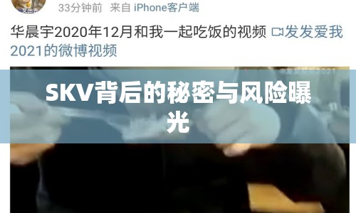 SKV背后的秘密與風(fēng)險曝光