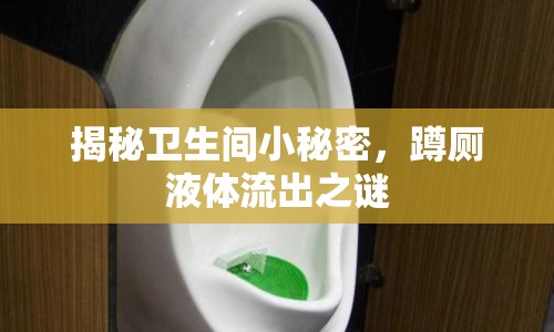 揭秘衛(wèi)生間小秘密，蹲廁液體流出之謎