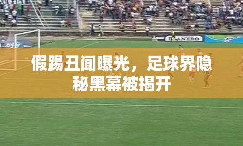 假踢丑聞曝光，足球界隱秘黑幕被揭開(kāi)