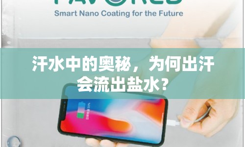 汗水中的奧秘，為何出汗會流出鹽水？