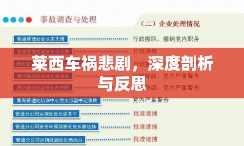 萊西車禍悲劇，深度剖析與反思