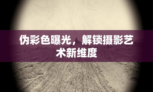 偽彩色曝光，解鎖攝影藝術(shù)新維度