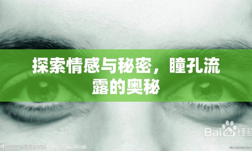 探索情感與秘密，瞳孔流露的奧秘