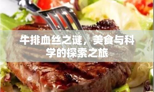 牛排血絲之謎，美食與科學的探索之旅