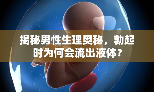 揭秘男性生理奧秘，勃起時(shí)為何會(huì)流出液體？