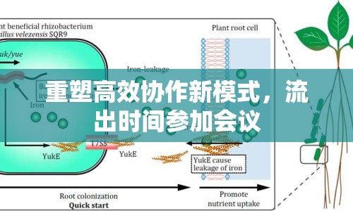 重塑高效協(xié)作新模式，流出時間參加會議