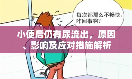 小便后仍有尿流出，原因、影響及應(yīng)對(duì)措施解析