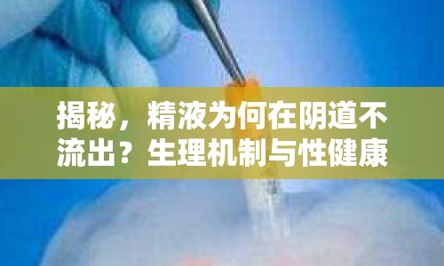 揭秘，精液為何在陰道不流出？生理機制與性健康解析