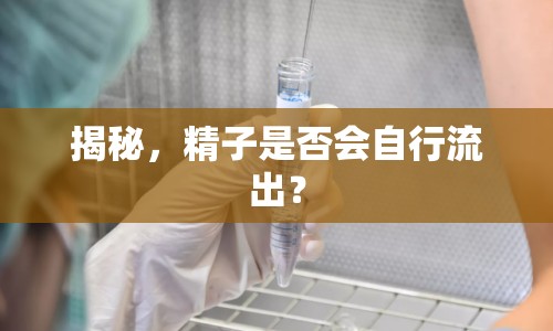 揭秘，精子是否會(huì)自行流出？